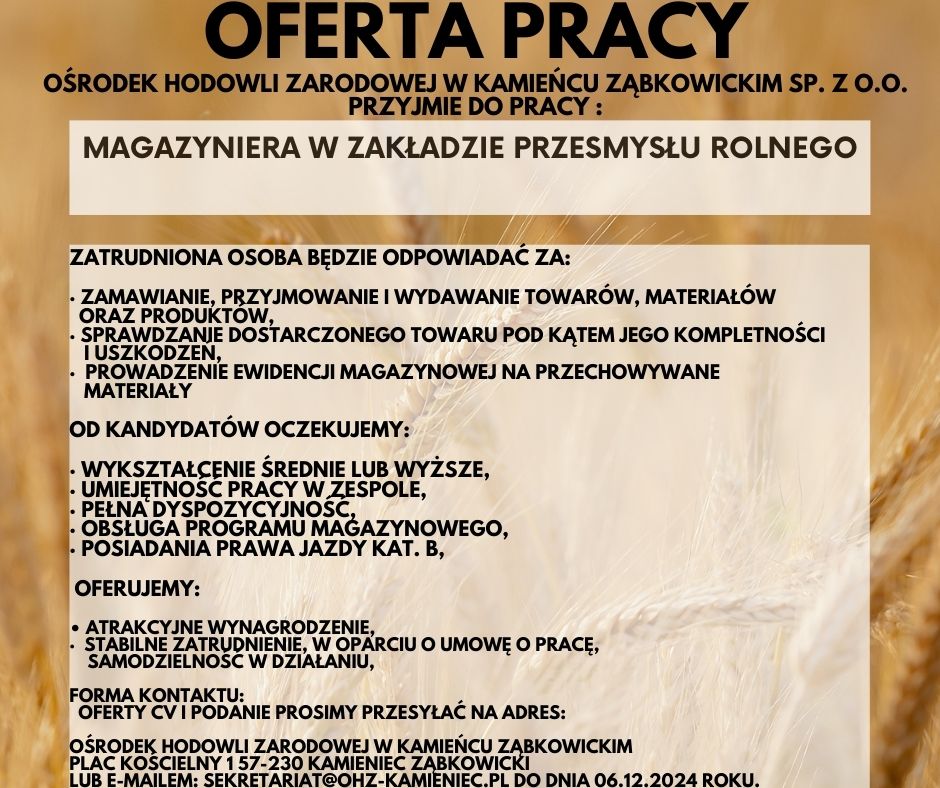 oferta pracy3